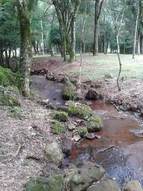 ホテルCamping Caitano Campo Grande  エクステリア 写真