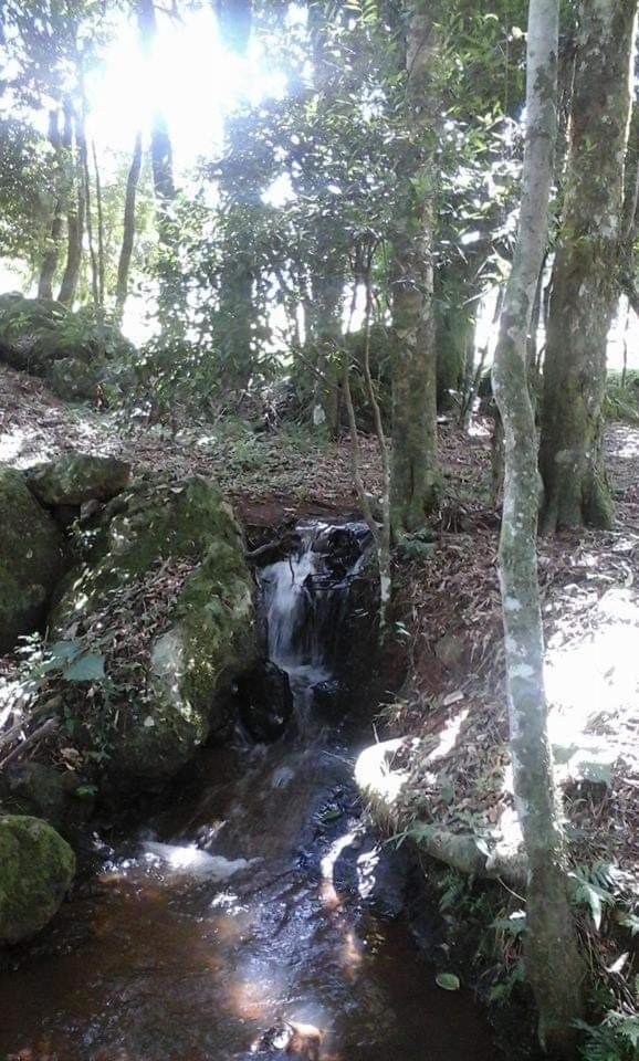 ホテルCamping Caitano Campo Grande  エクステリア 写真